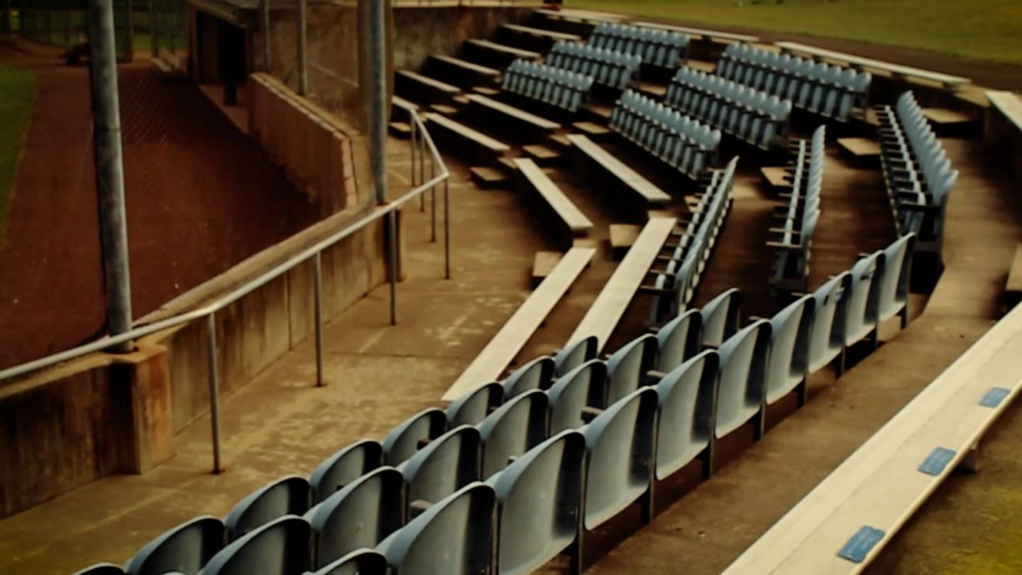 Take Me Out to the Ballgame-Observational Doc